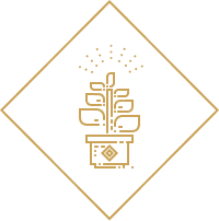 lost ark бонусы при регистрации